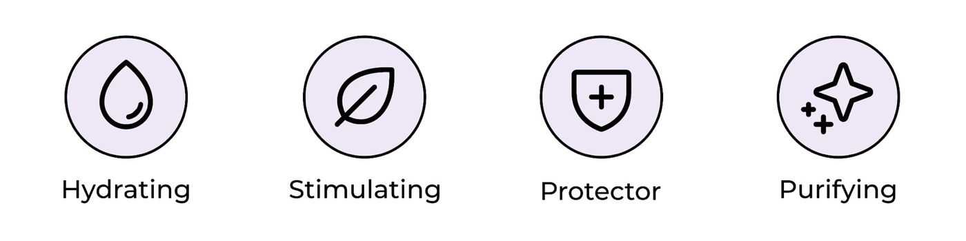 Skin properties infography (hydrating, stimulating, protector, purifying)
