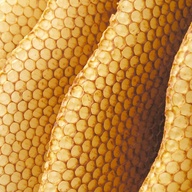 Yellow Beeswax