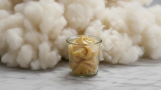 Lanolin