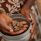 Refined Shea Butter