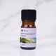 Niaouli Essential Oil