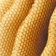Yellow Beeswax