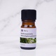 Eucalyptus Globulus Essential Oil