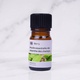 Cornmint Essential Oil