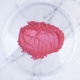 Raspberry Pearl Mica